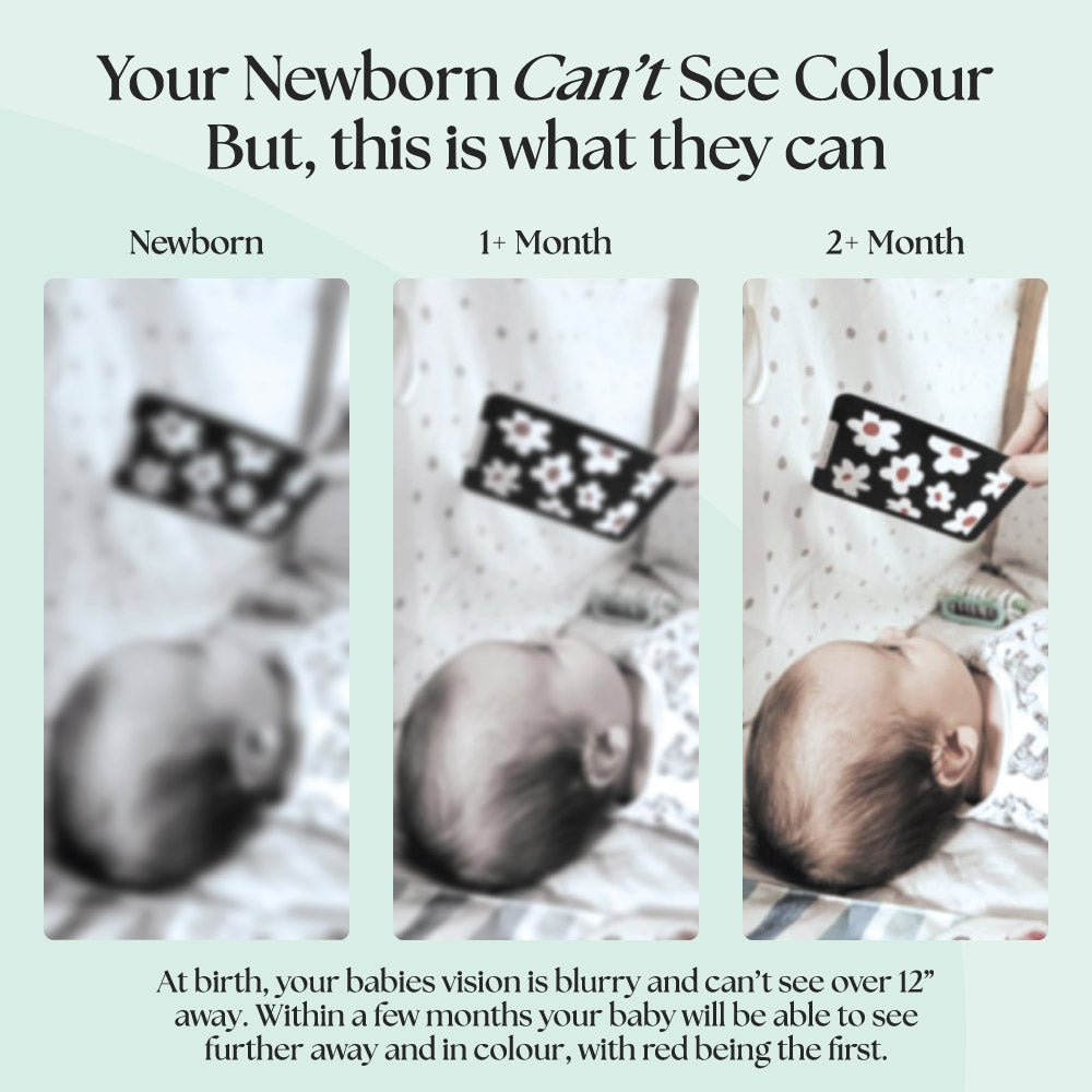 0+ Month Newborn Sensory Cards - Edie And I