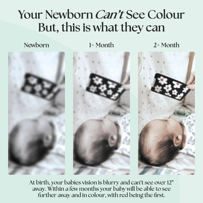 0+ Month Newborn Sensory Cards - Edie And I