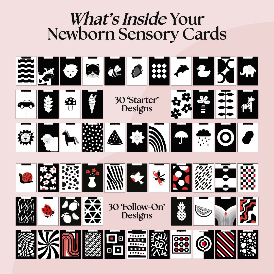 0+ Month Newborn Sensory Cards - Edie And I