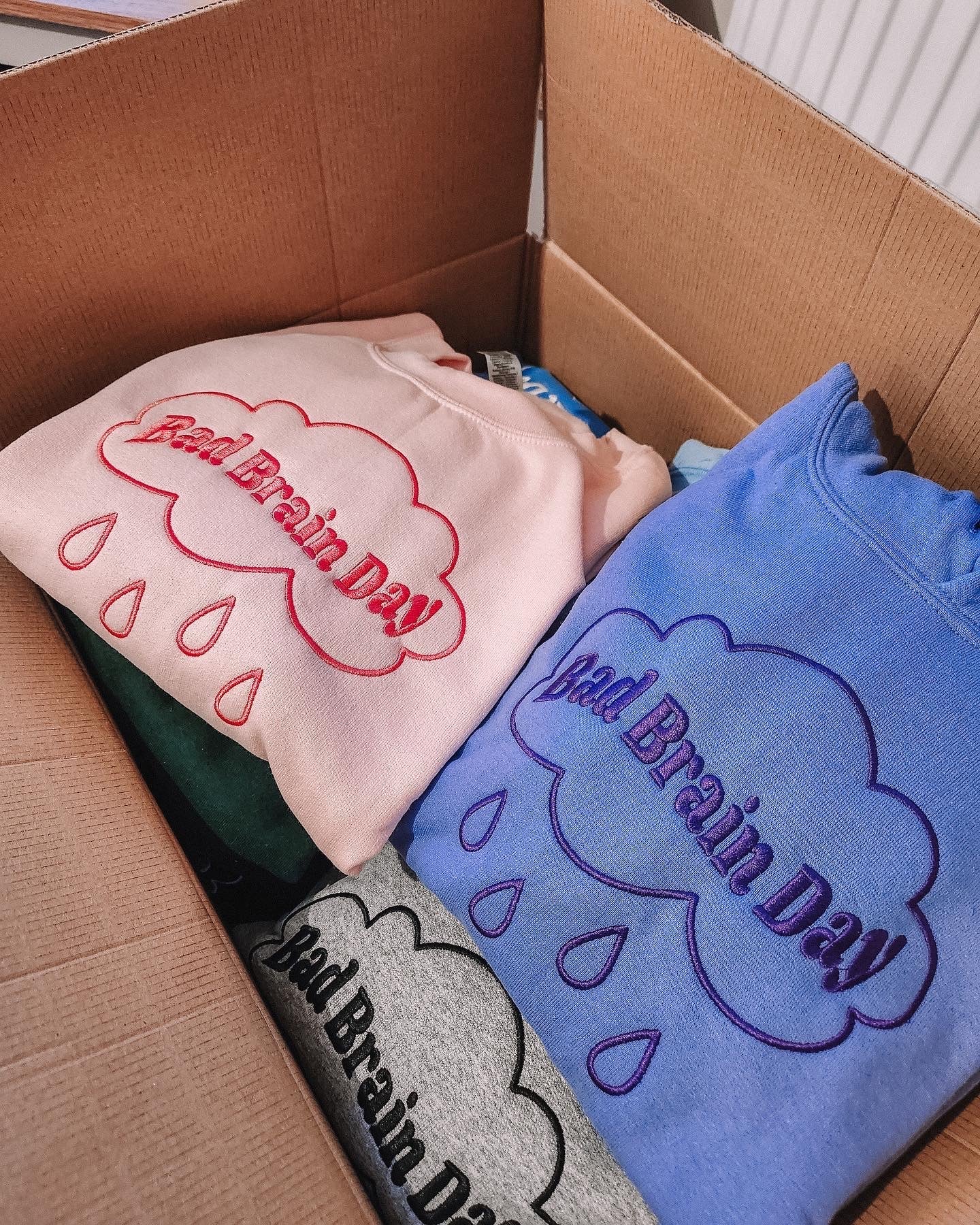 Bad Brain Day embroidered sweatshirt - Edie And I