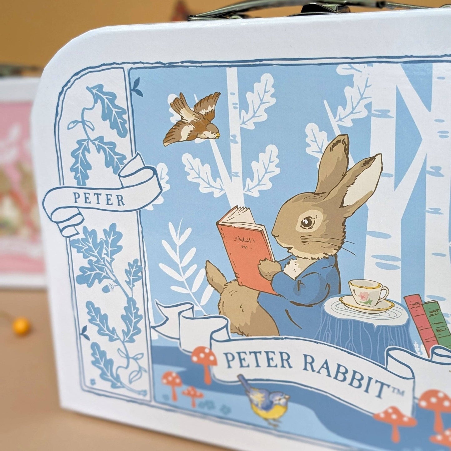 Beatrix Potter Children's Triple Carry Case Set - 3 Sizes - Edie And I