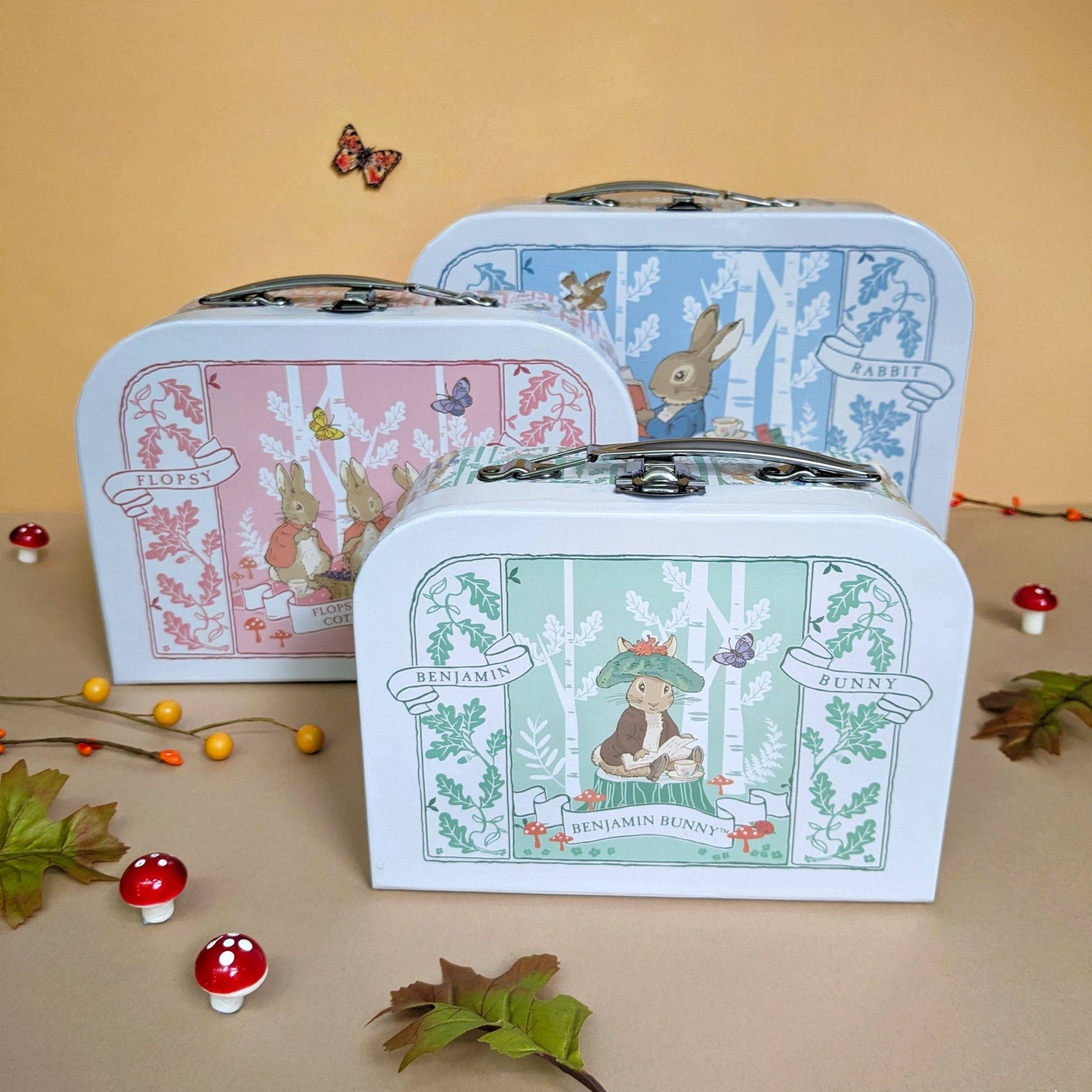 Beatrix Potter Children's Triple Carry Case Set - 3 Sizes - Edie And I