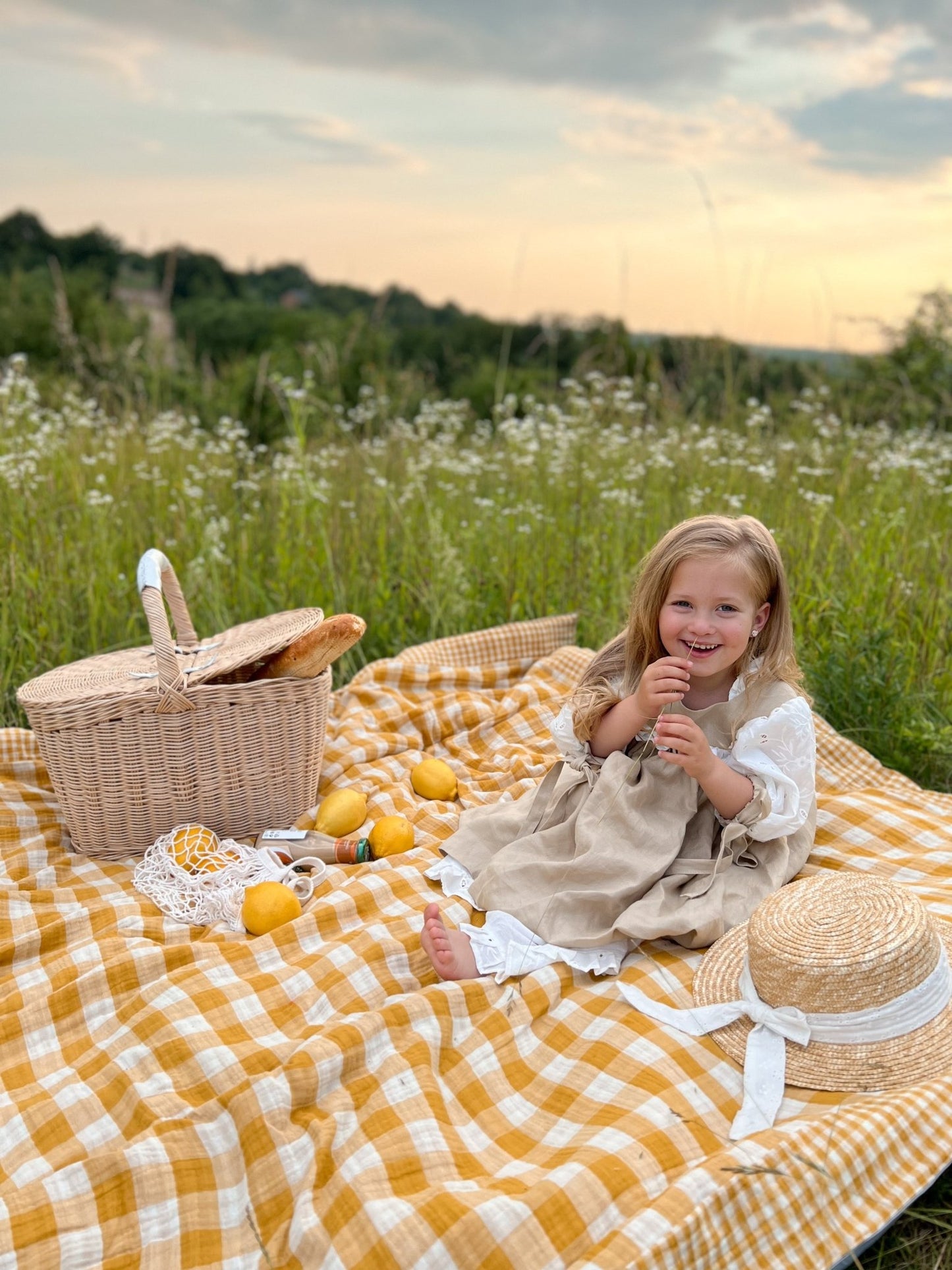 Checked Picnic Blanket - Edie And I