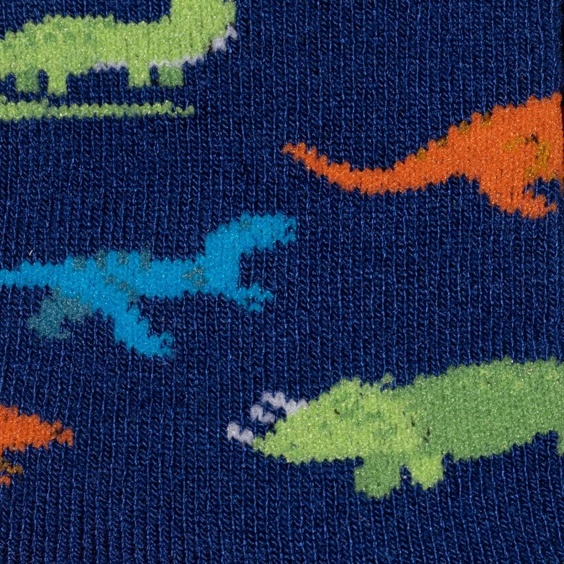 Children's Dinosaur Bamboo Socks - Edie And I