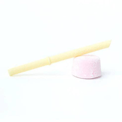 Chino Club Straws with Stoppers - Edie And I