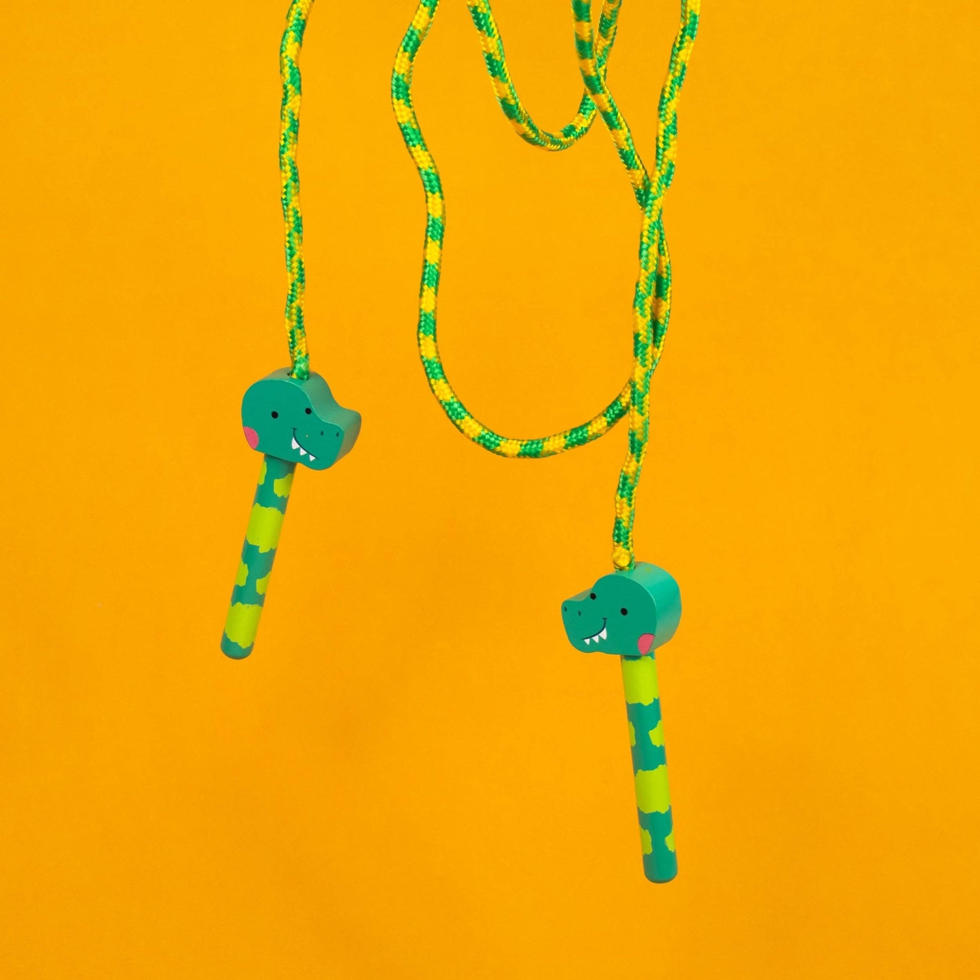 Dinosaur Skipping Rope - Edie And I