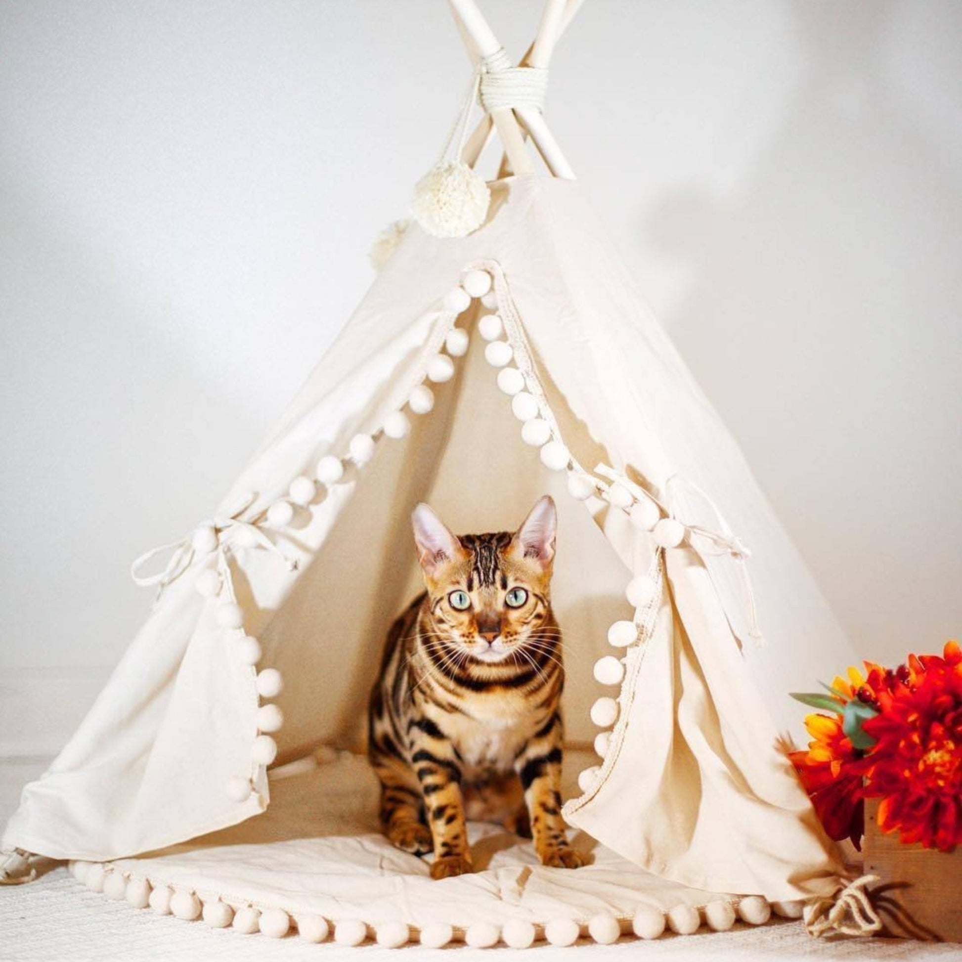 MINICAMP Cat Teepee & Small Dog Tent in Ecru With Pompoms – Size S - Edie And I