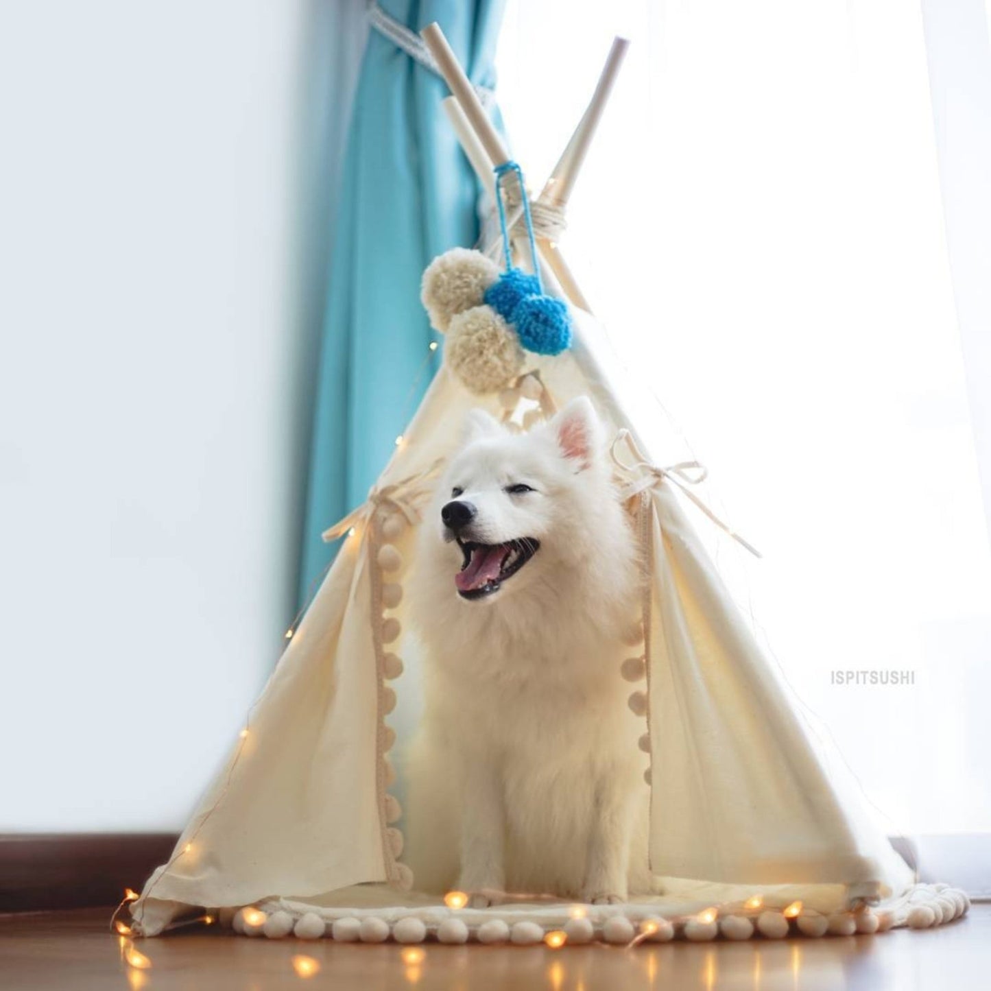 MINICAMP Dog Teepee & Large Cat Tent in Ecru With Pompoms – Size M - Edie And I