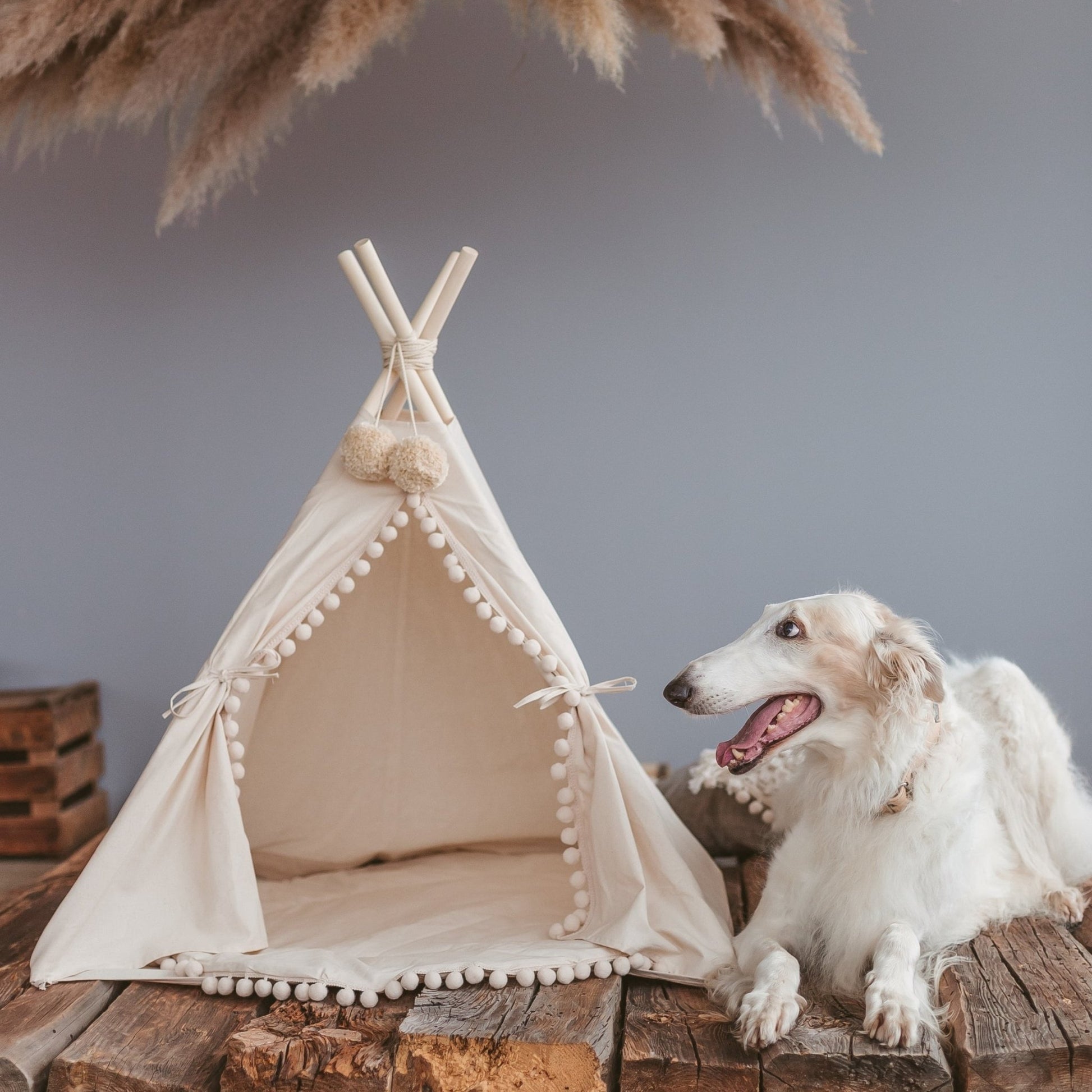 MINICAMP Large Dog Teepee Tent in Ecru With Pompoms – Size L - Edie And I
