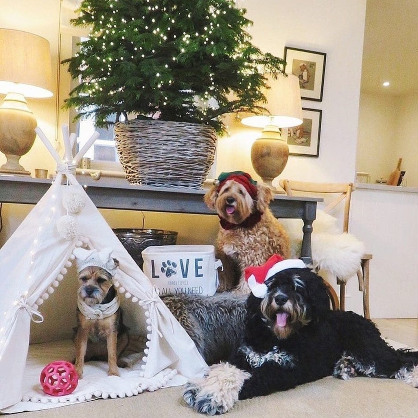 MINICAMP Large Dog Teepee Tent in Ecru With Pompoms – Size L - Edie And I