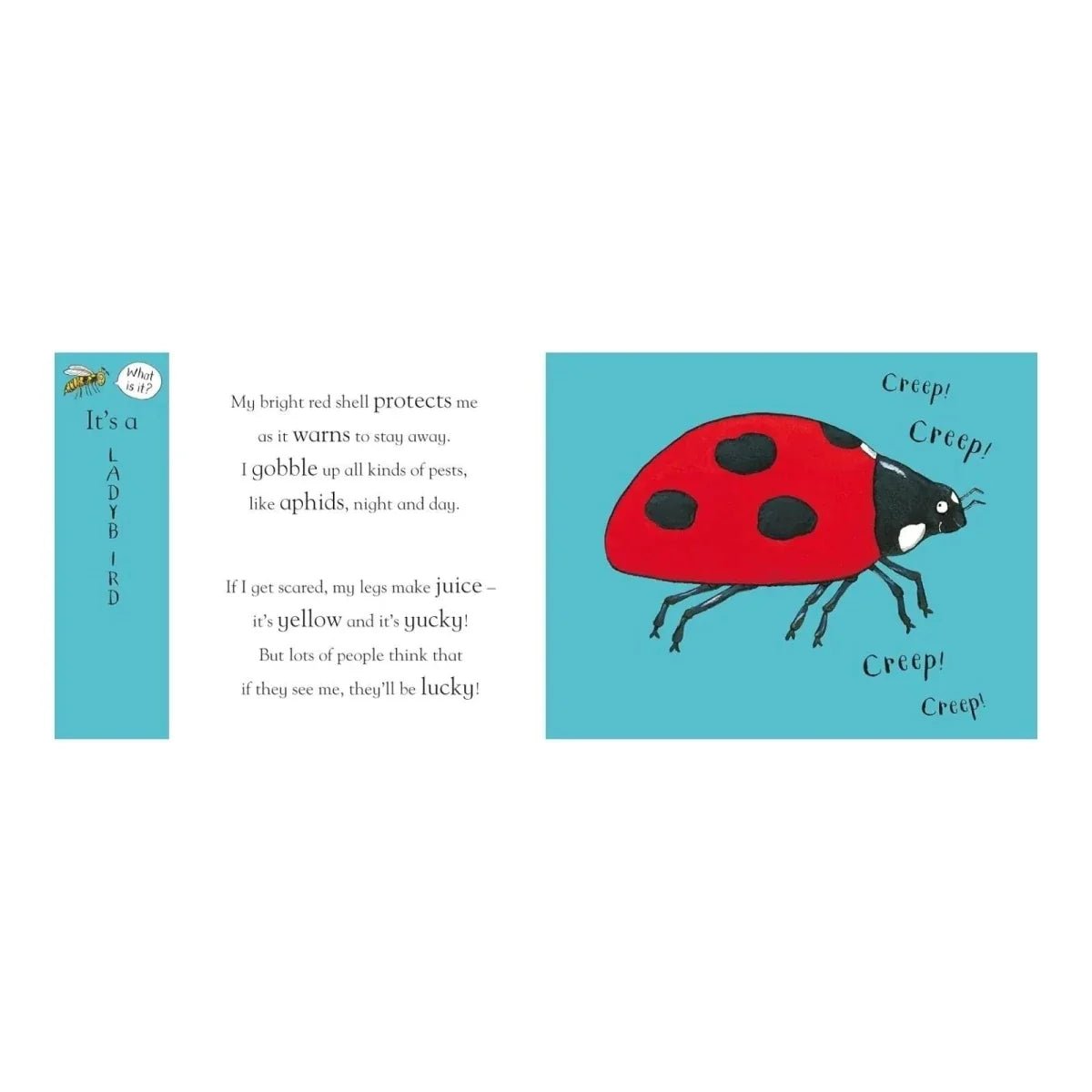 Nosy Crow Axel Scheffler's Flip Flap - Minibeasts - Edie And I