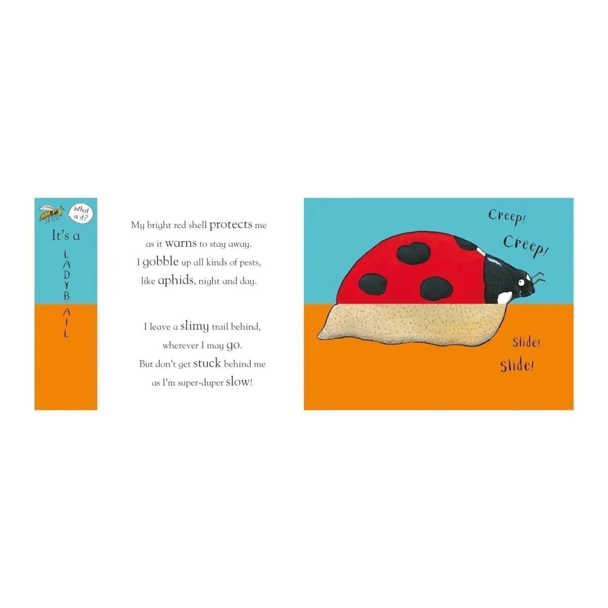 Nosy Crow Axel Scheffler's Flip Flap - Minibeasts - Edie And I