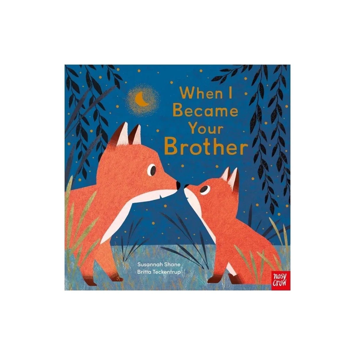 Nosy Crow When I Became Your Brother - Edie And I