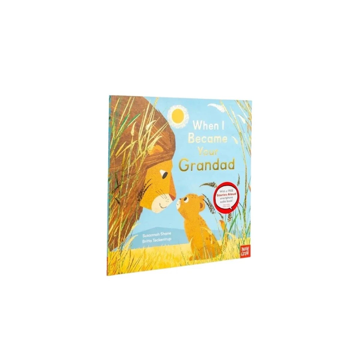 Nosy Crow When I Became Your Grandad - Edie And I