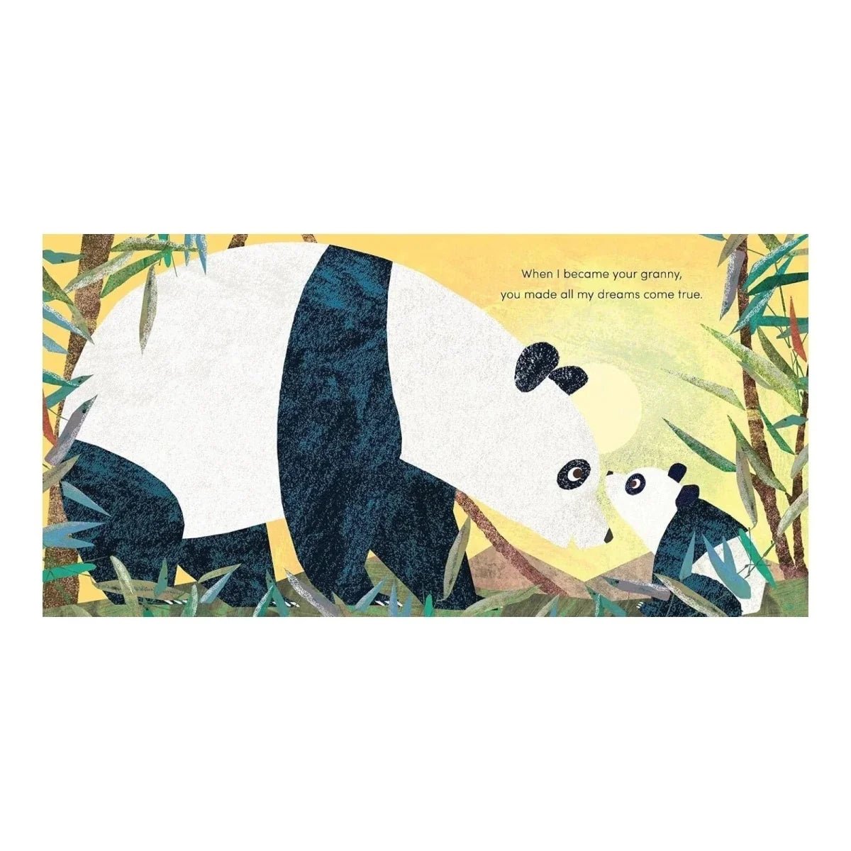 Nosy Crow When I Became Your Granny - Edie And I