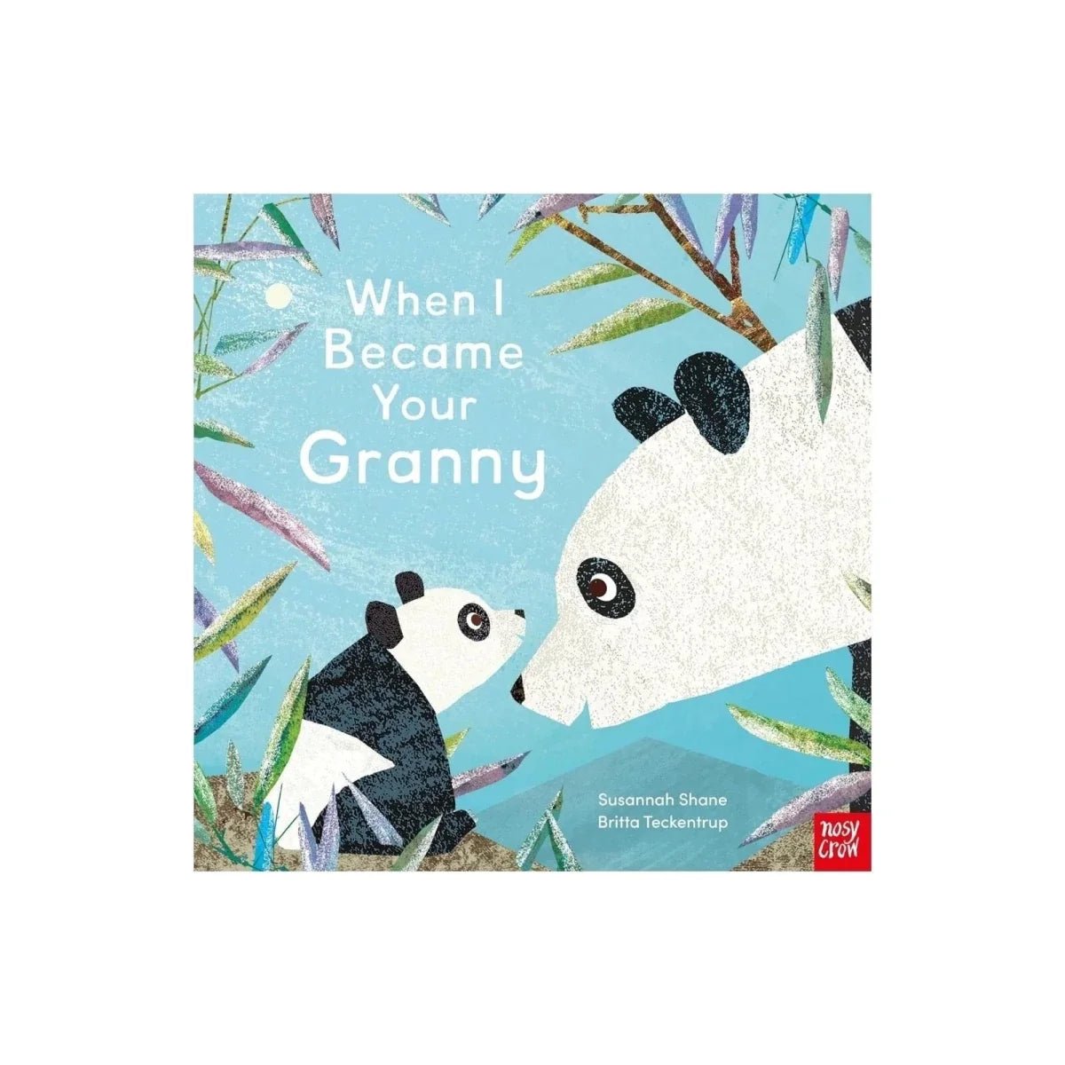 Nosy Crow When I Became Your Granny - Edie And I