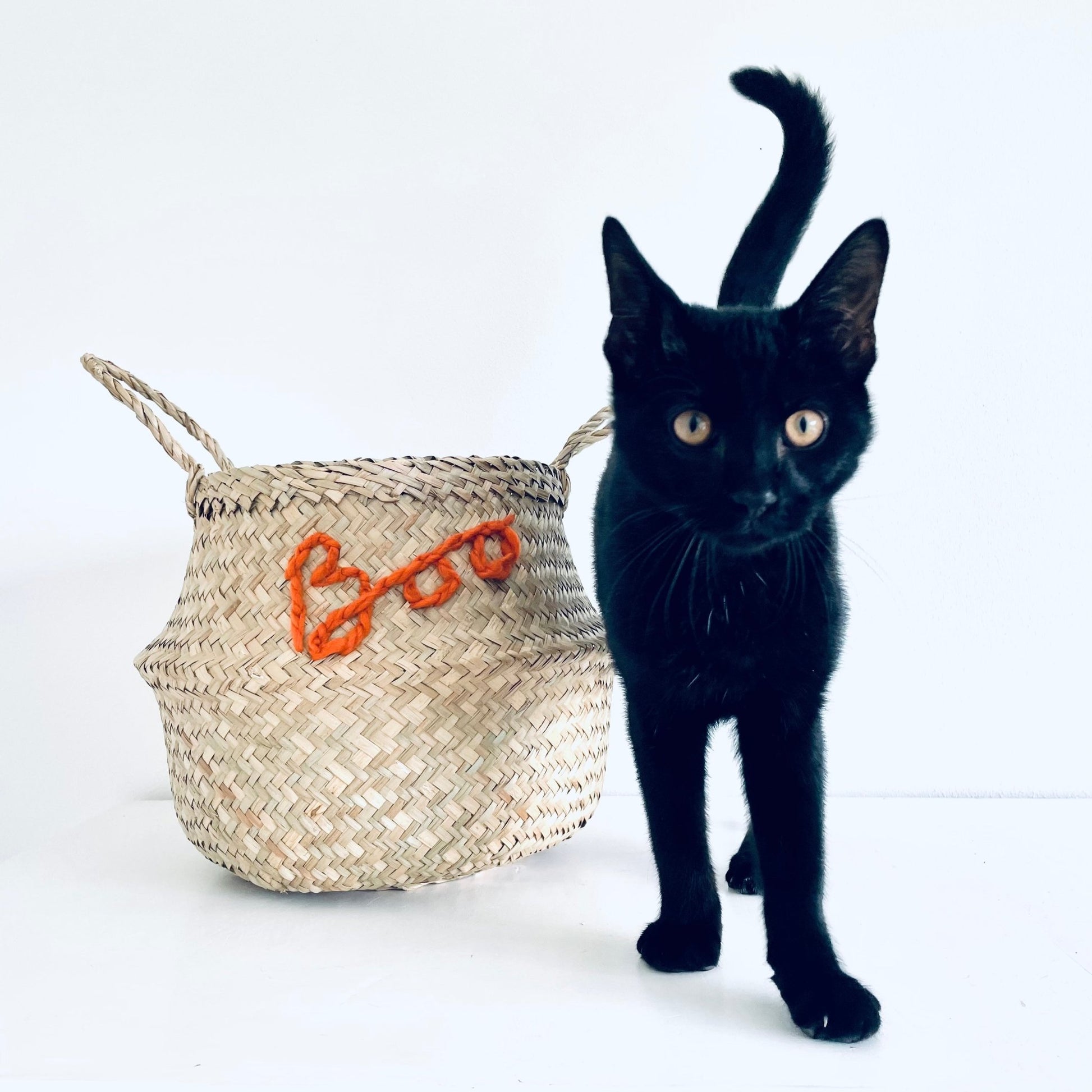 Spider basket - Medium (Halloween) - Edie And I