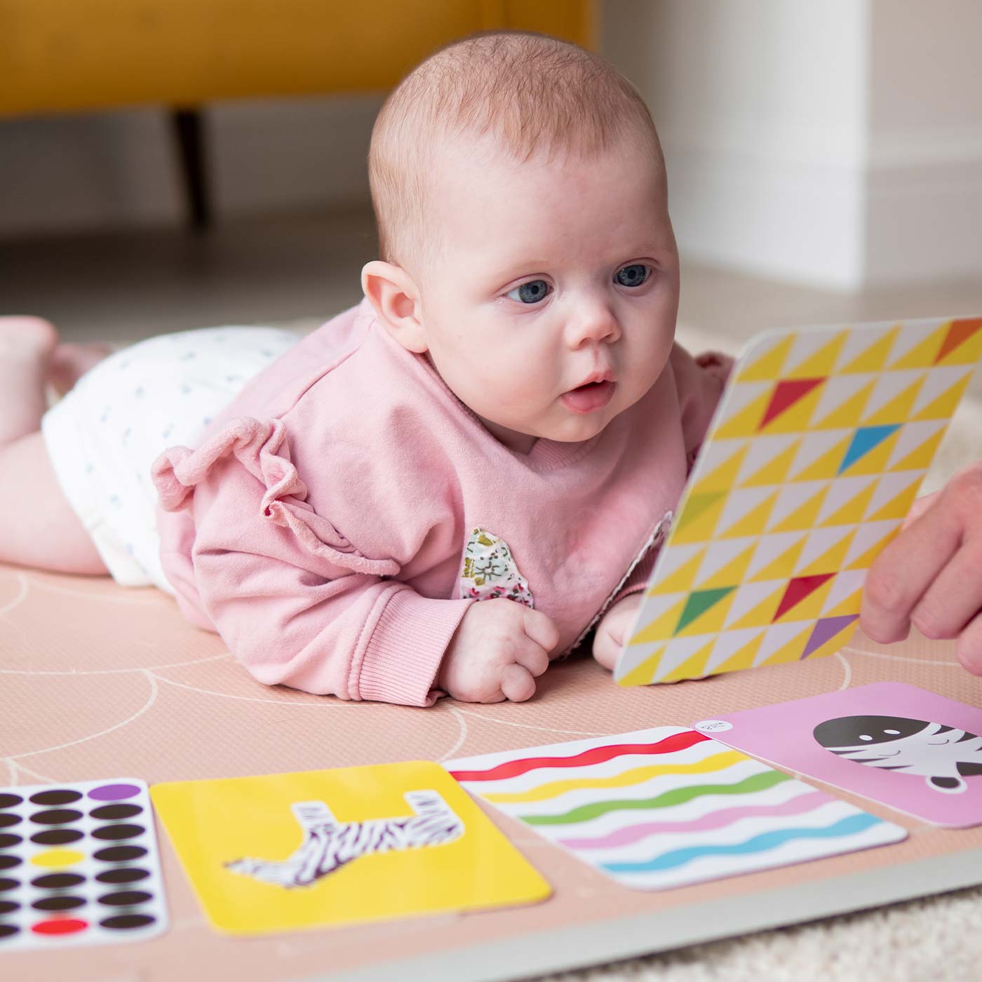 The Complete Development Bundle - Edie And I