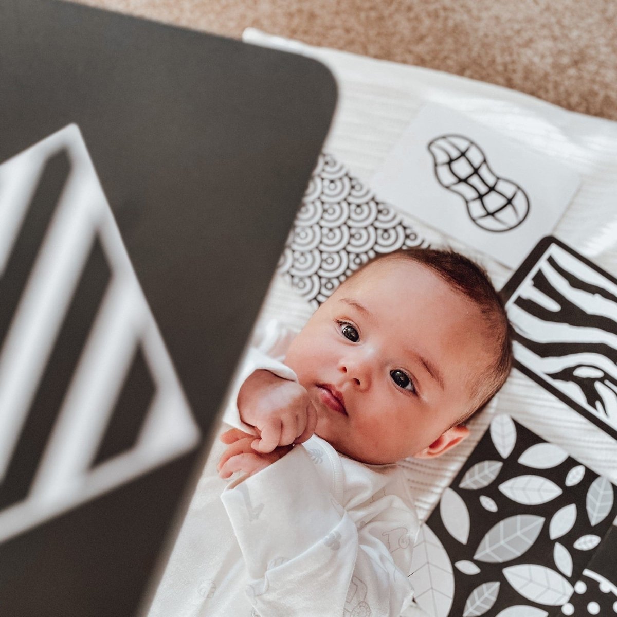 The Complete Development Bundle - Edie And I