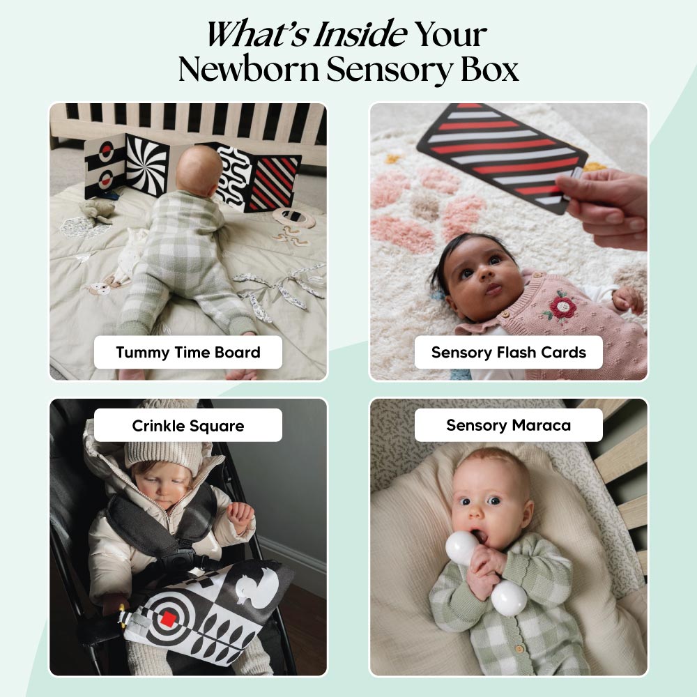 The Newborn Sensory Box (0-6+ Months) - Edie And I