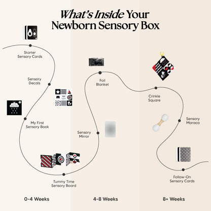 The Newborn Sensory Box (0-6+ Months) - Edie And I