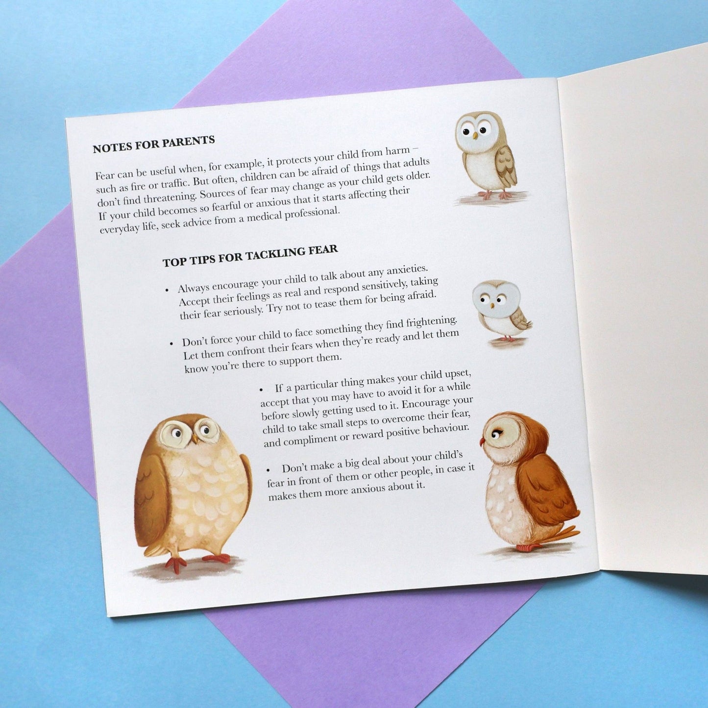 When Owl Feels Scared - Me And My Feelings Children's Paperback Book - Edie And I