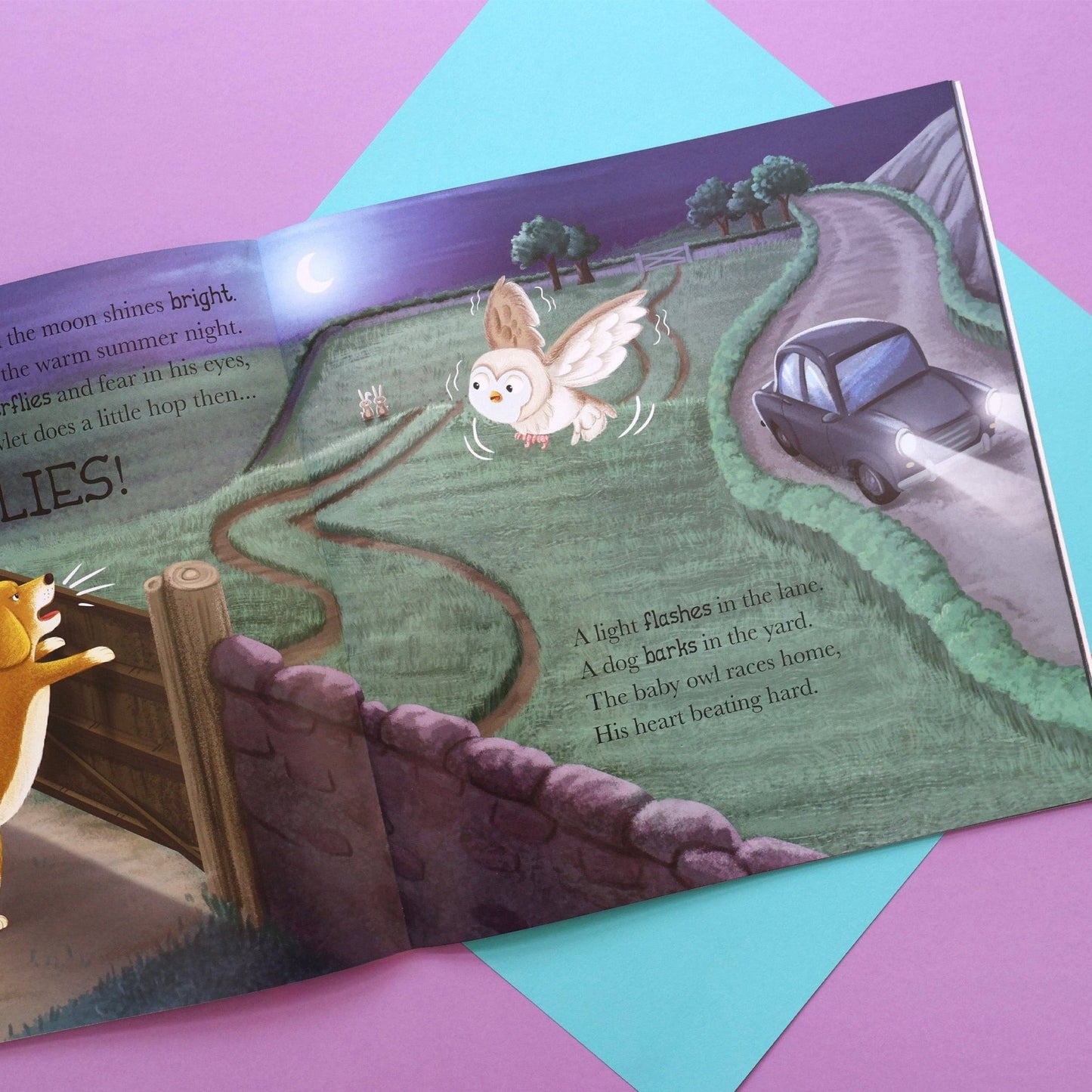 When Owl Feels Scared - Me And My Feelings Children's Paperback Book - Edie And I